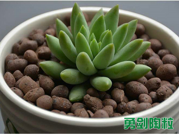 绿化陶粒1