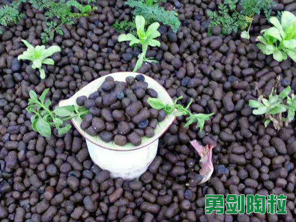 绿化陶粒2