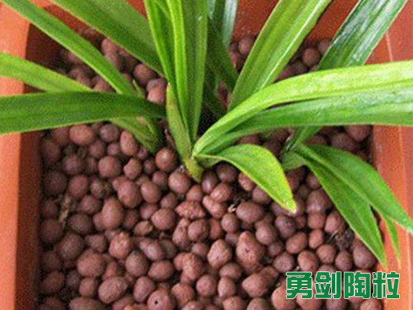 绿化陶粒4