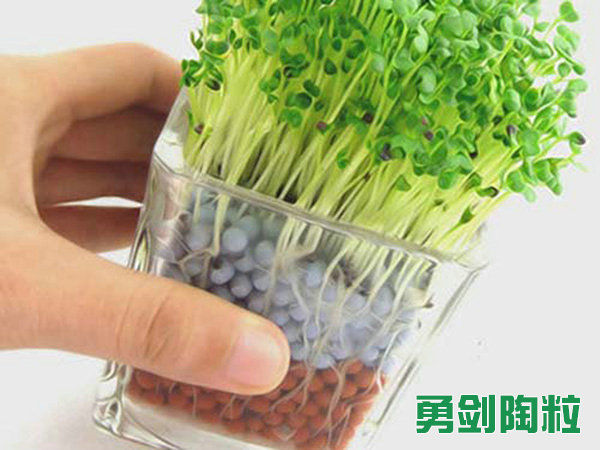 绿化陶粒5